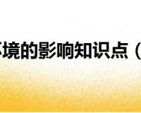 洋流对地理环境的影响ppt下载，洋流对地理环境的影响ppt免收费下载安装